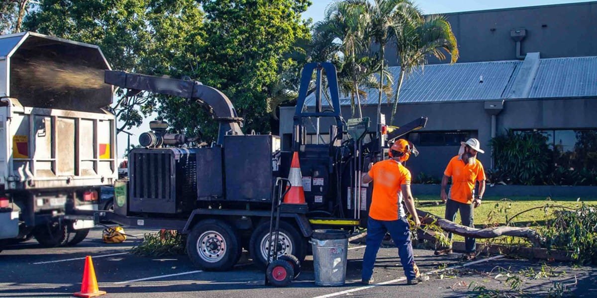 Tree Trimming Queanbeyan Expert Tree Services 7 Branch pruning Queanbeyan