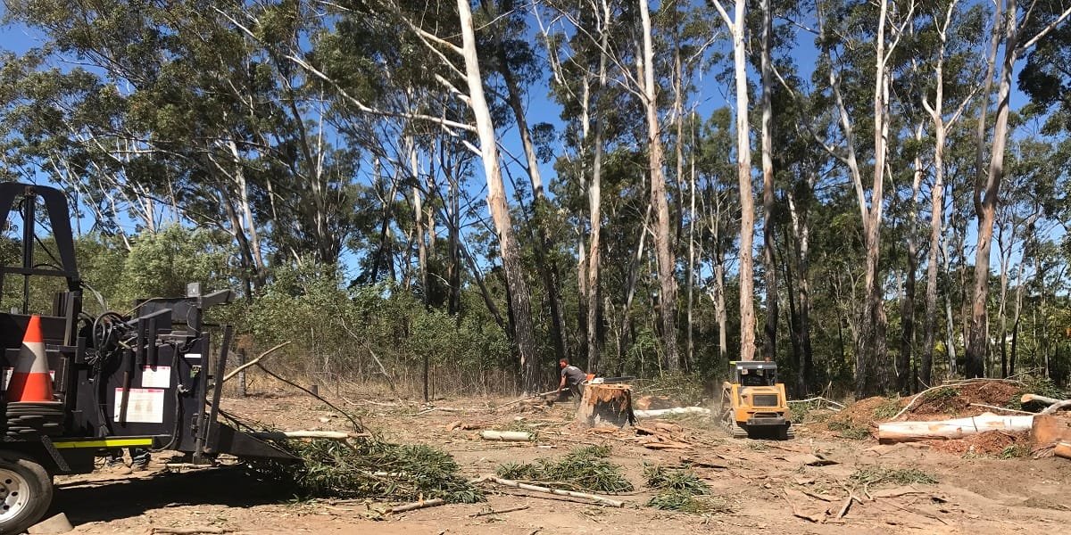 Tree Removal Queanbeyan Expert Tree Services 7 Emergency tree removal Queanbeyan