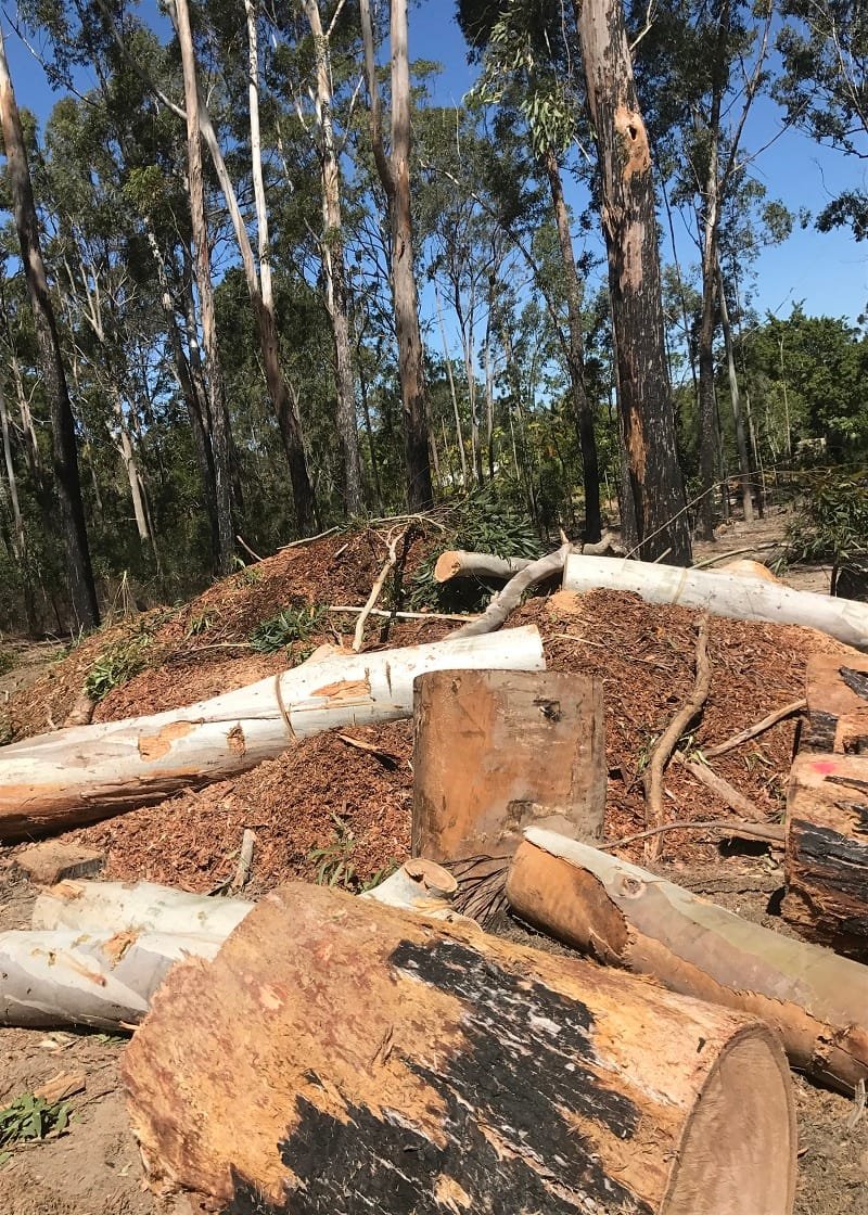Stump Removal Queanbeyan Expert Tree Services 2 Stump and root removal Queanbeyan
