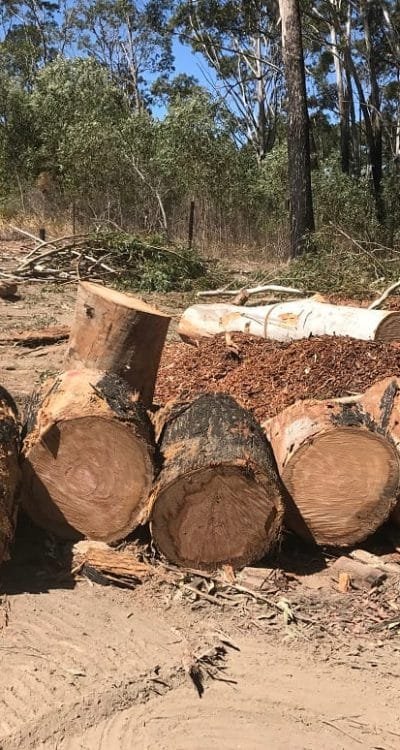 Queanbeyan Queanbeyan Expert Tree Services 8 Tree clearing Queanbeyan