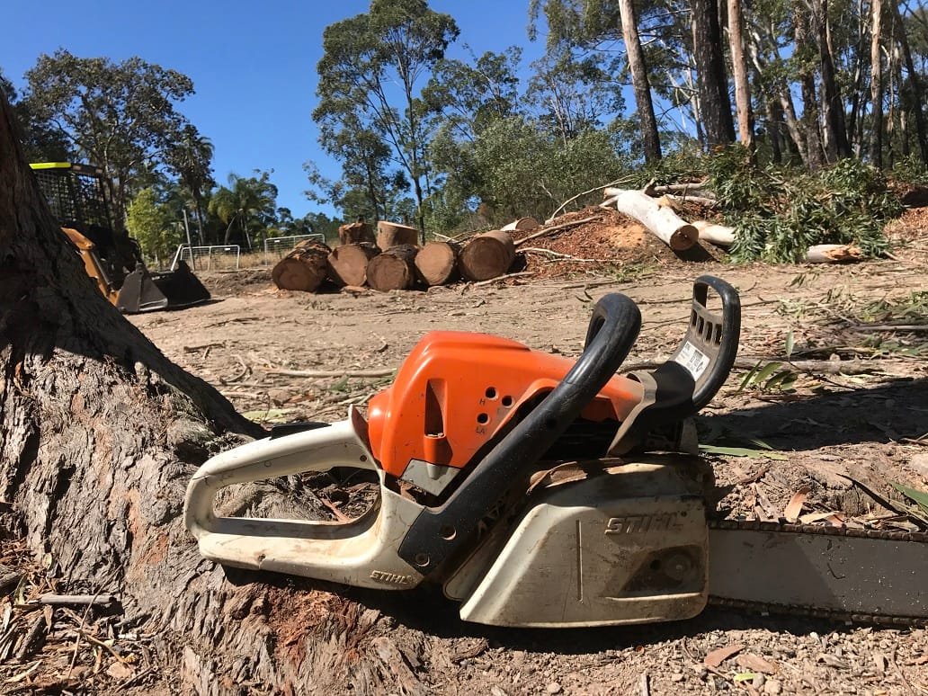 Tree Removal Queanbeyan Expert Tree Services 1 Tree felling Queanbeyan