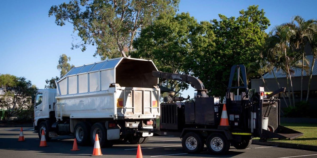 Tree Care Queanbeyan Expert Tree Services 5 Tree management Queanbeyan