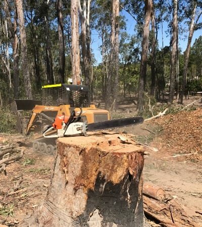 Stump Removal Queanbeyan Expert Tree Services 1 Tree root removal Queanbeyan