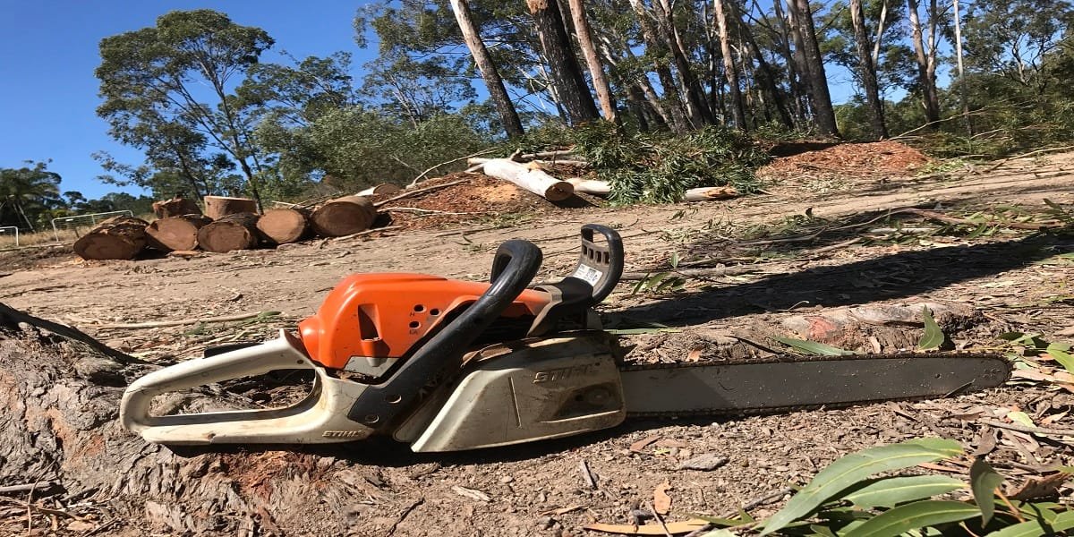 Queanbeyan Queanbeyan Expert Tree Services 6 Tree services Queanbeyan NSW
